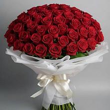 Букет 101 Красная роза Блэк Мэджик #REPLACE_PRED# Ефимовский