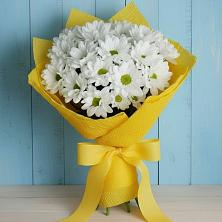 Букет цветов из:  Хризантемы в Ефимовский
