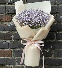 Букет цветов из:  Гипсофила в Ефимовский