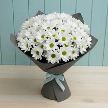 Букет цветов из:  Хризантемы в Ефимовский