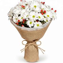 Букет цветов из:  Хризантемы #REPLACE_PRED# Ефимовский