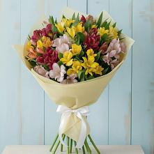 Букет цветов из:  Альстромерии #REPLACE_PRED# Ефимовский