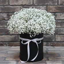 Цветочная композиция из Гипсофила в шляпной коробке в Ефимовский