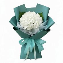 Букет цветов из:  Гортензия в Ефимовский